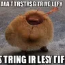 esta